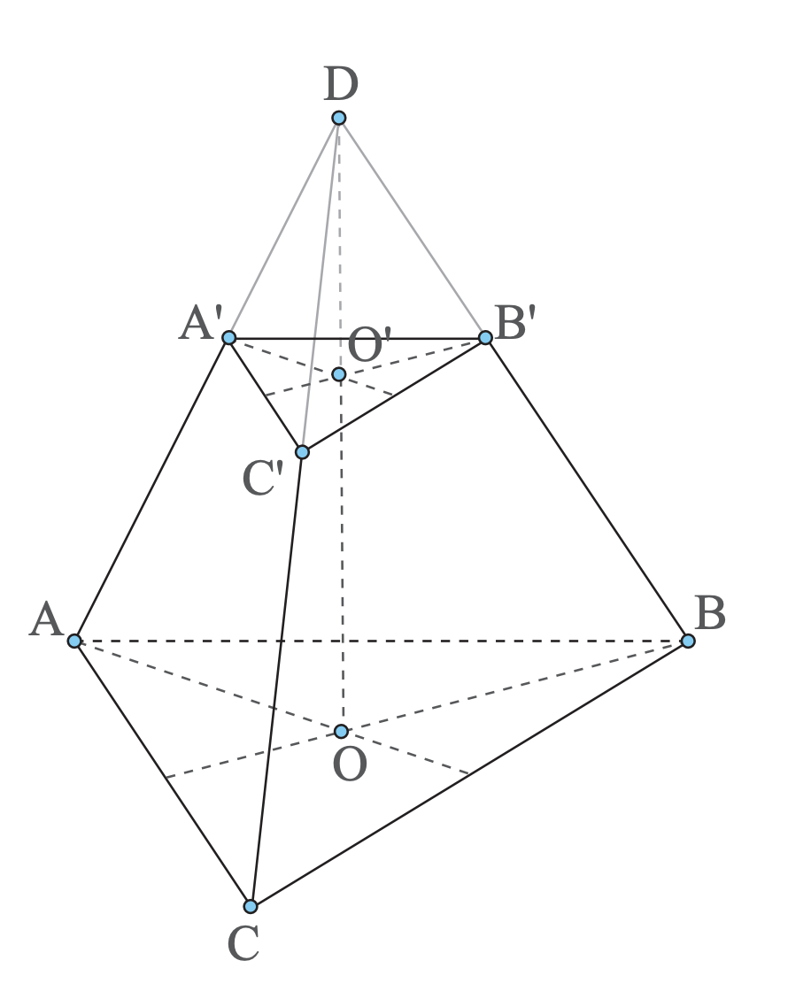 Apotema trunchiului de piramidă regulată