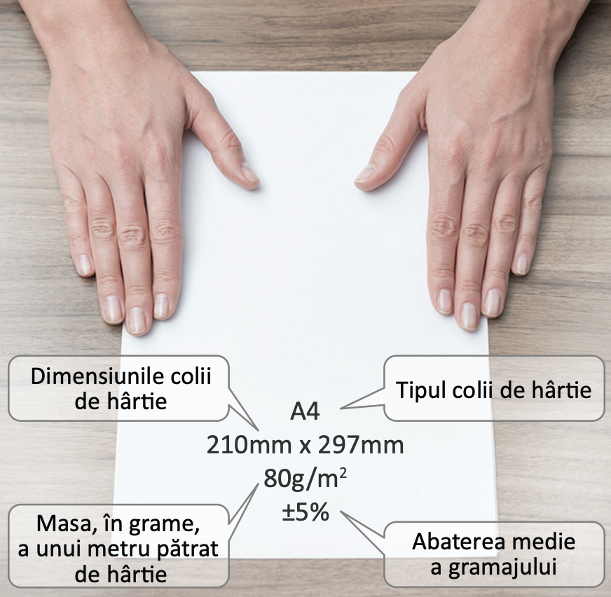 Smith family bathroom schedule